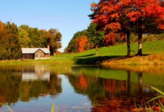 Meyersdale Area